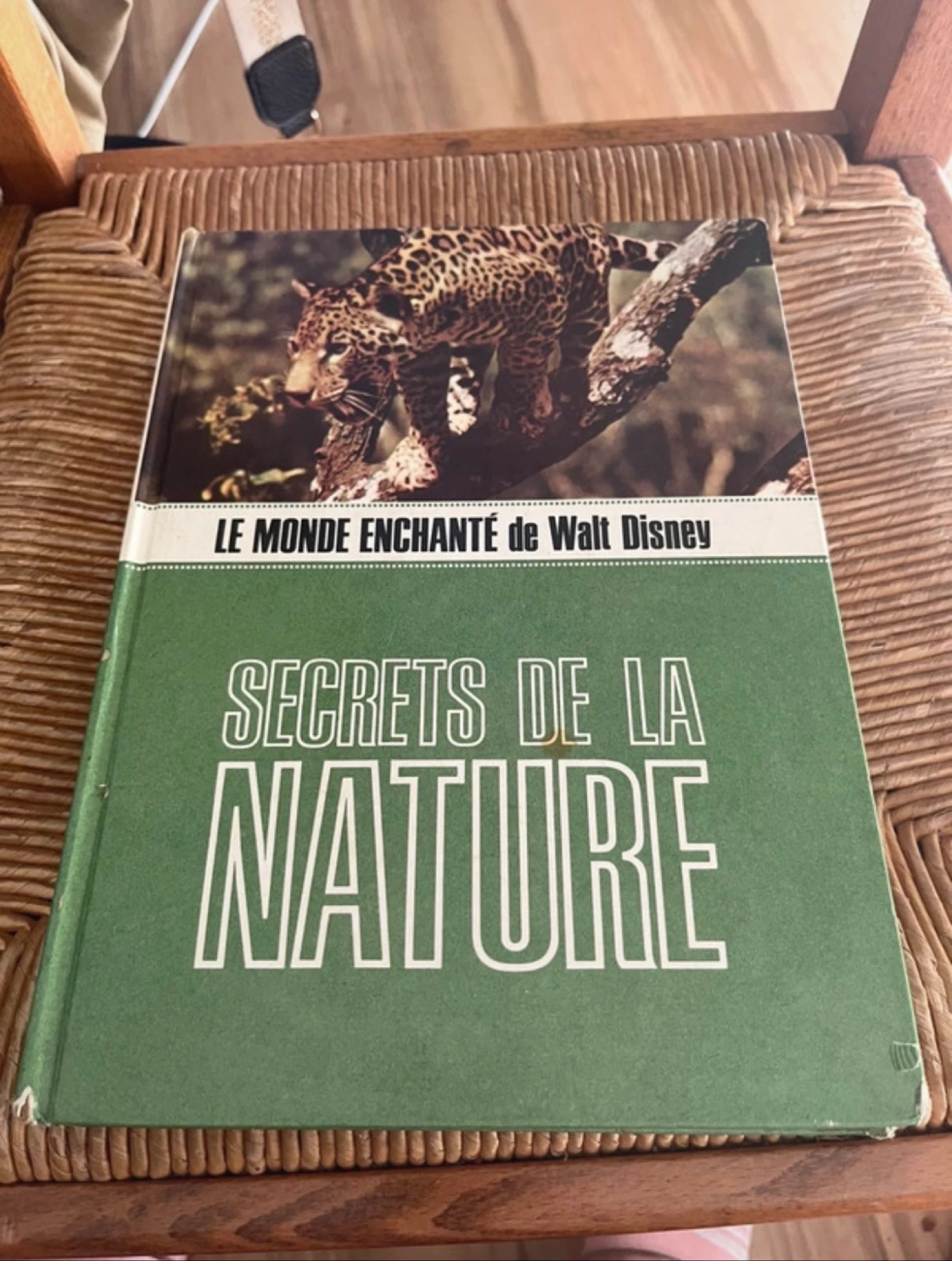 Livre Disney Secrets de la nature Le monde enchanté
